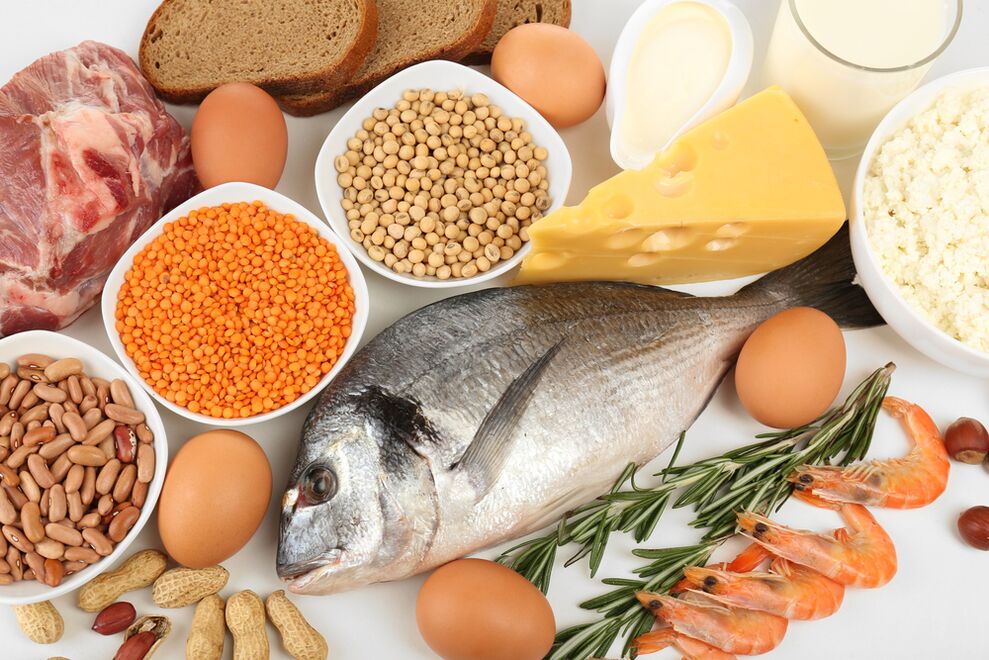 cechy diety białkowej
